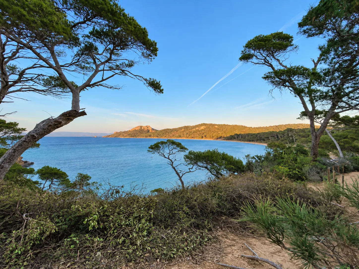 Paysage de Porquerolles